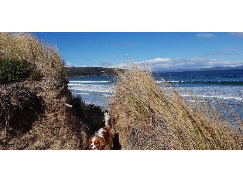 280 Carlton Beach Road, Carlton TAS 7173