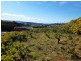9 Rushwood Court, Lenah Valley TAS 7008