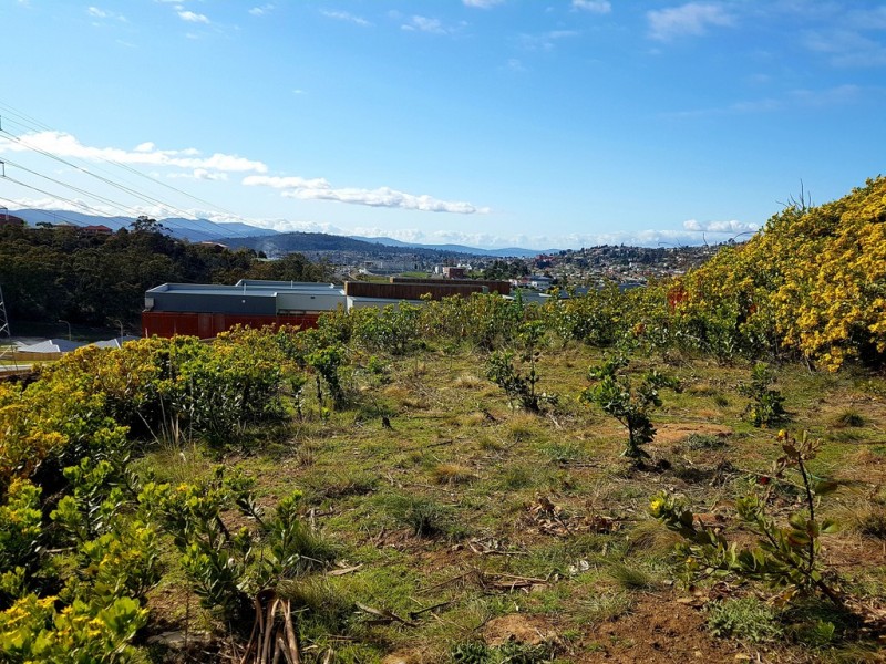 9 Rushwood Court, Lenah Valley TAS 7008