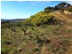 9 Rushwood Court, Lenah Valley TAS 7008