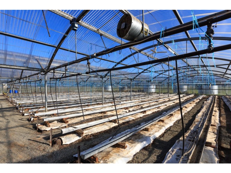 15 Ogilvie Lane, Richmond TAS 7025