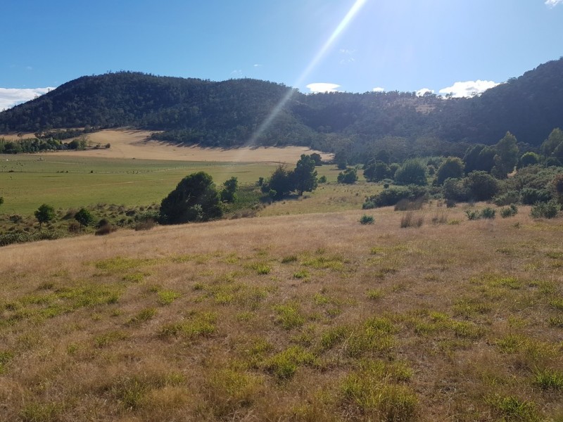 Lot 2 Elderslie Road, Broadmarsh TAS 7030