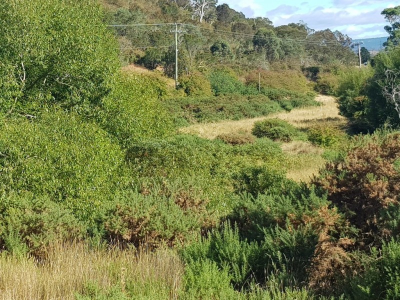 Lot 2 Elderslie Road, Broadmarsh TAS 7030