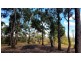 0 Randalls Bay Road, Randalls Bay TAS 7112