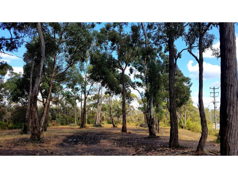 0 Randalls Bay Road, Randalls Bay TAS 7112