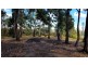 0 Randalls Bay Road, Randalls Bay TAS 7112