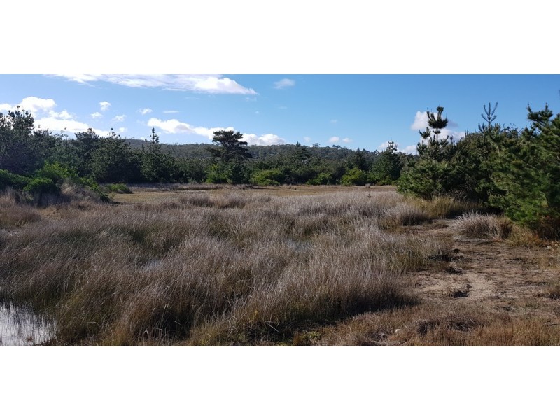 280 Carlton Beach Road, Carlton TAS 7173