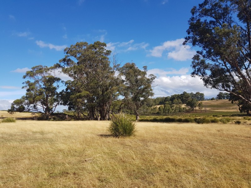 Lot 3, 456 White Hill Road, Forcett TAS 7173