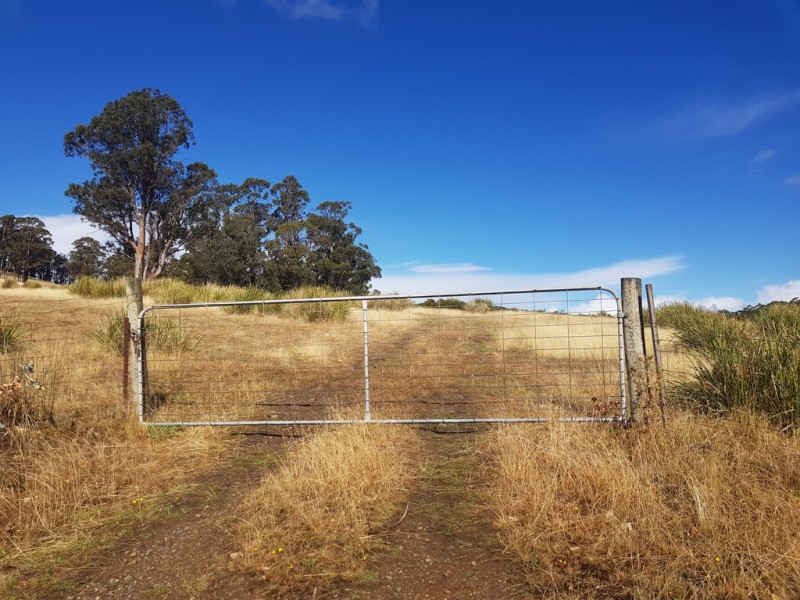 Lot 3, 456 White Hill Road, Forcett TAS 7173