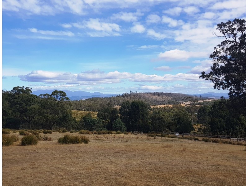 Lot 3, 456 White Hill Road, Forcett TAS 7173