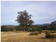 Lot 3, 456 White Hill Road, Forcett TAS 7173