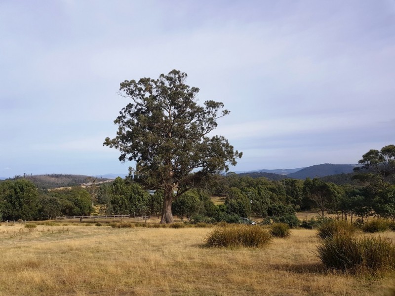 Lot 3, 456 White Hill Road, Forcett TAS 7173
