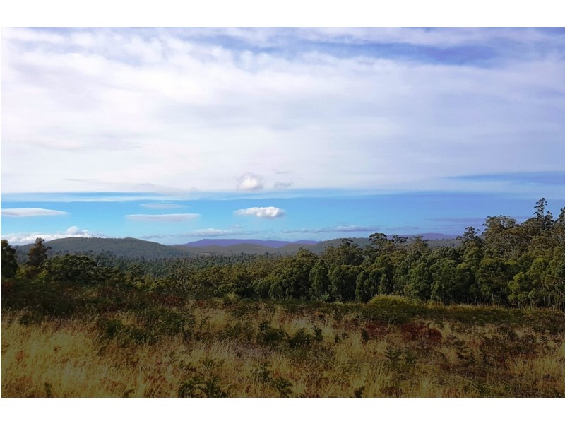 Lot 3, 456 White Hill Road, Forcett TAS 7173