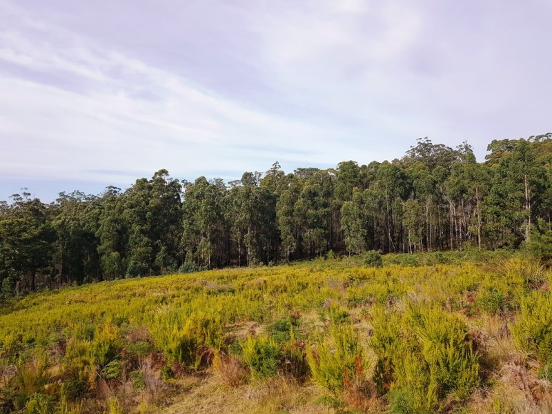 Lot 3, 456 White Hill Road, Forcett TAS 7173