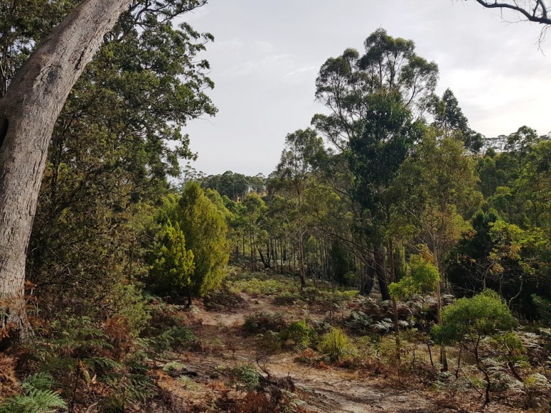 Lot 3, 456 White Hill Road, Forcett TAS 7173