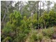 Lot 3, 456 White Hill Road, Forcett TAS 7173