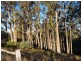 Lot 3, 456 White Hill Road, Forcett TAS 7173