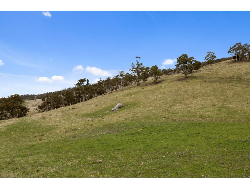 Lot 3, 1211 Glenora Road, Plenty TAS 7140