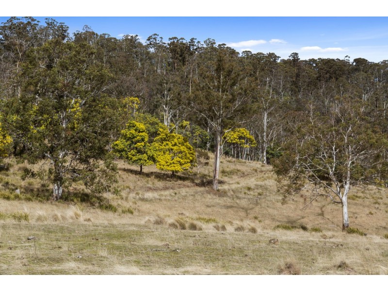 Lot 3, 1211 Glenora Road, Plenty TAS 7140