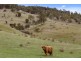 Lot 3, 1211 Glenora Road, Plenty TAS 7140