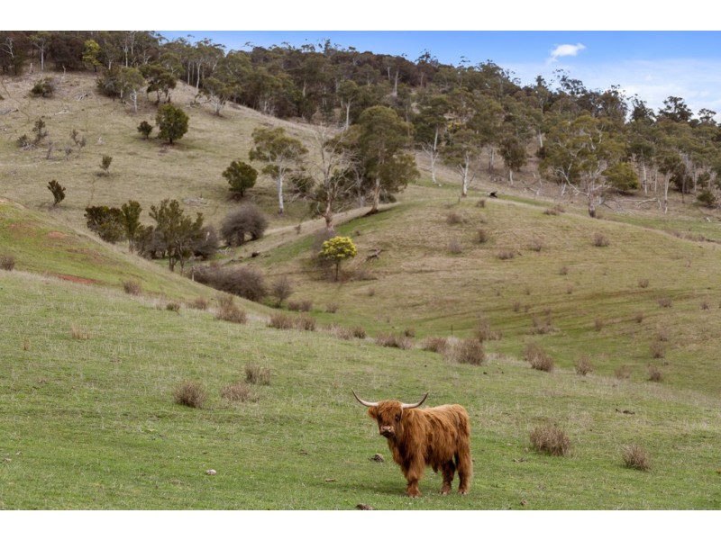 Lot 3, 1211 Glenora Road, Plenty TAS 7140