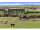 Lot 3, 1211 Glenora Road, Plenty TAS 7140