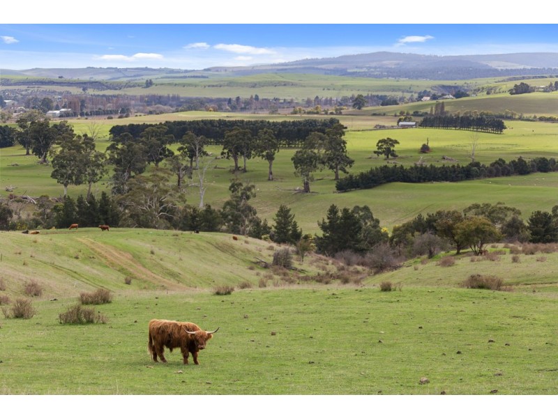 Lot 3, 1211 Glenora Road, Plenty TAS 7140