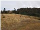 551 Rhyndaston Road, Rhyndaston TAS 7120