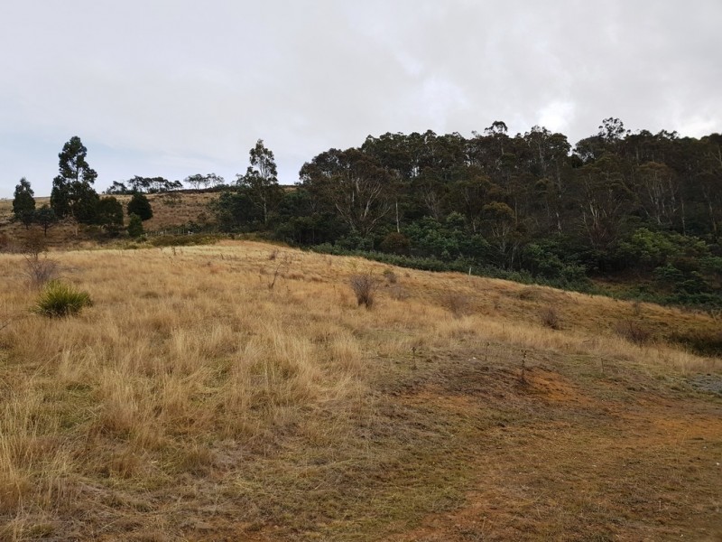 551 Rhyndaston Road, Rhyndaston TAS 7120