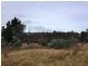 551 Rhyndaston Road, Rhyndaston TAS 7120