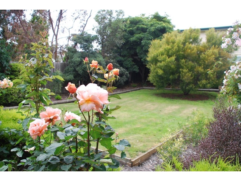 Lindisfarne TAS 7015