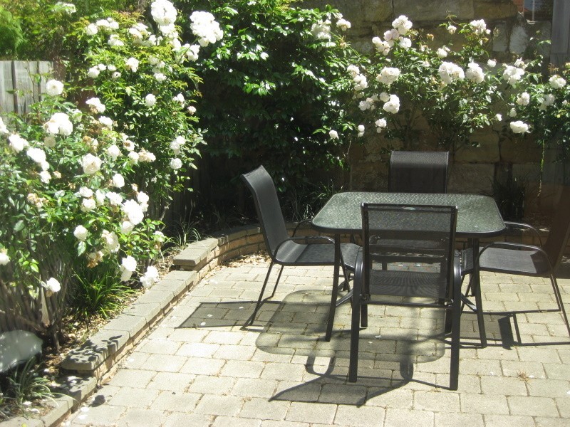 13 Feltham Street, North Hobart TAS 7000