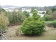 47 Ashbolt Crescent, Lutana TAS 7009