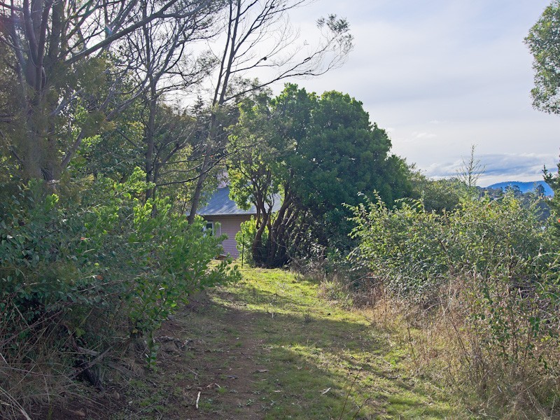 South Hobart TAS 7004