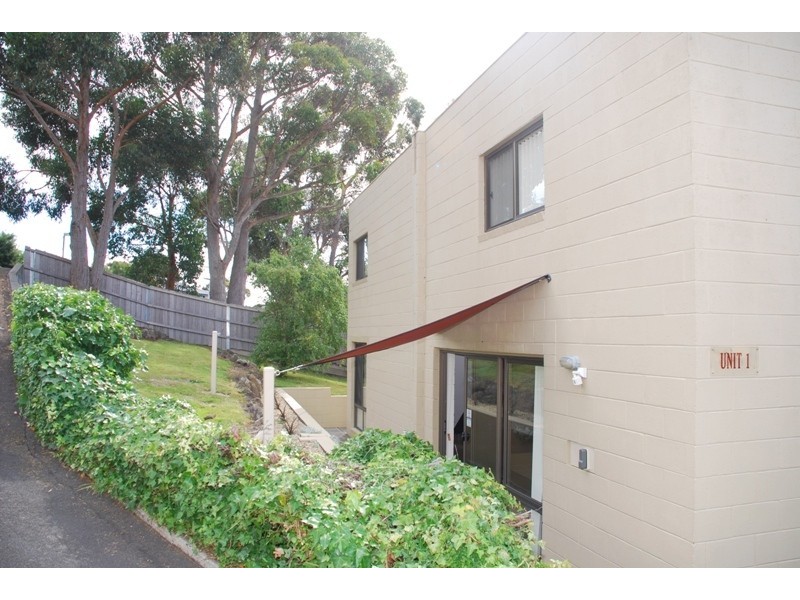 1/197 Strickland Avenue, South Hobart TAS 7004
