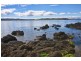 Sandy Bay TAS 7005