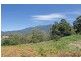 West Hobart TAS 7000