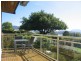 4 Vantona Road, Sandy Bay TAS 7005