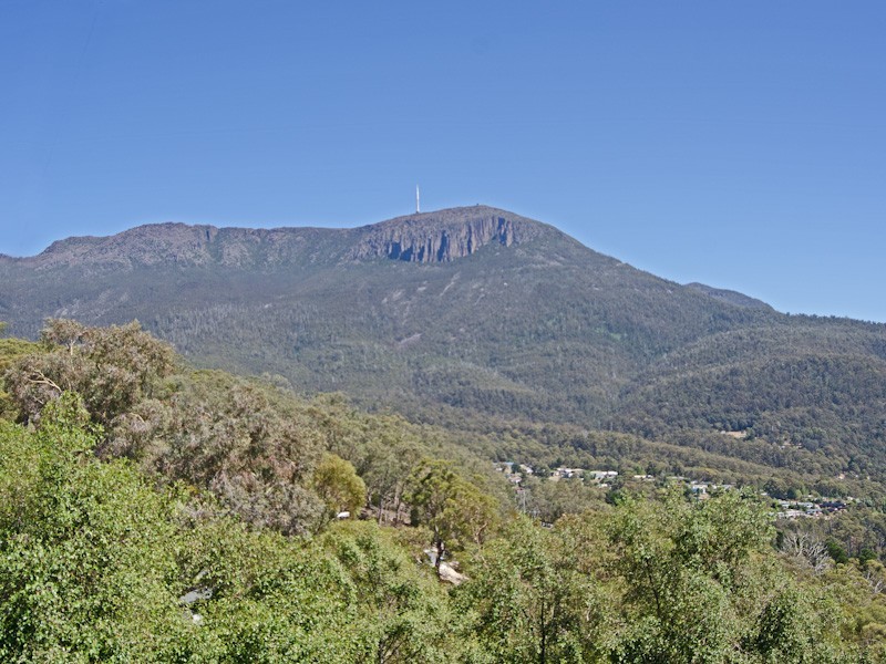 South Hobart TAS 7004