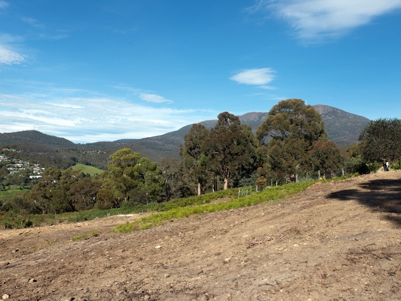 West Hobart TAS 7000