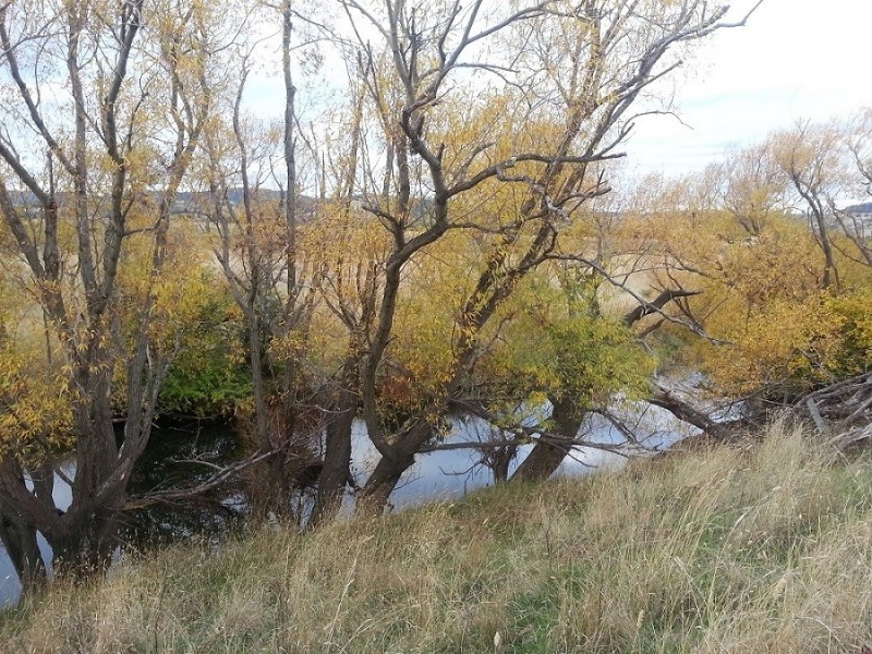 1/272 Colebrook Road, Richmond TAS 7025