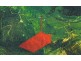 Lot 2 Green Valley Road, Bagdad TAS 7030