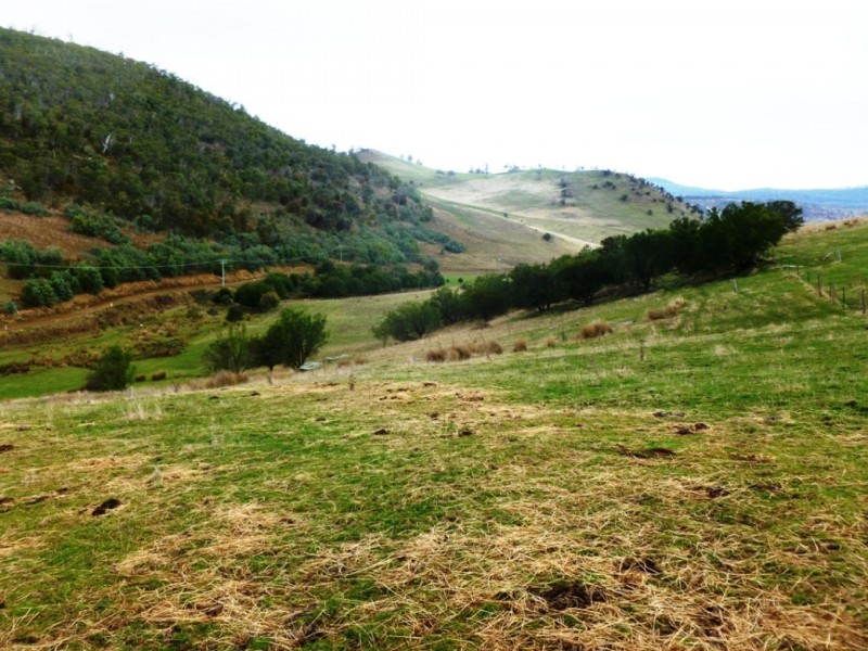 415 Cockatoo Gully Road, Elderslie TAS 7030