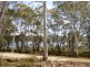 00 Browns Marsh Road, Bronte Park TAS 7140