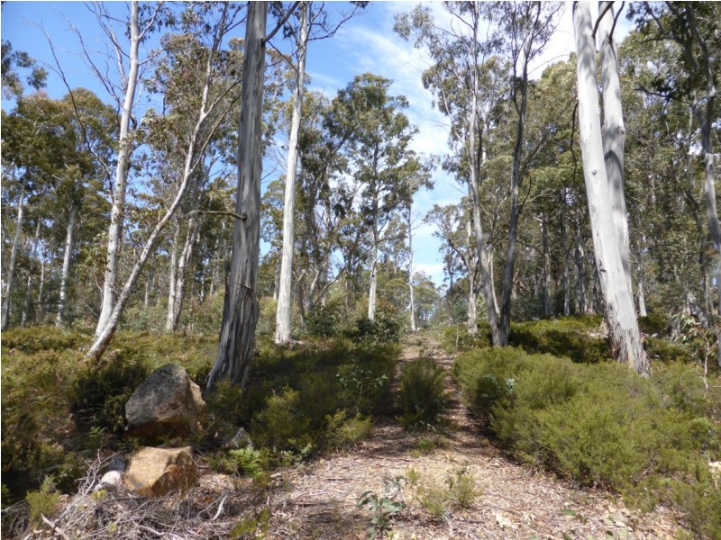 00 Browns Marsh Road, Bronte Park TAS 7140