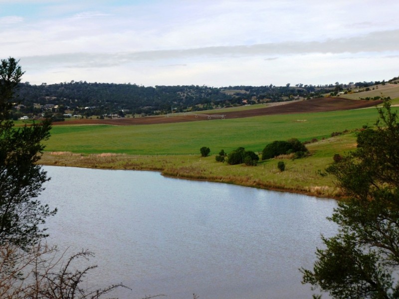 250 Cove Hill Road, Honeywood TAS 7017