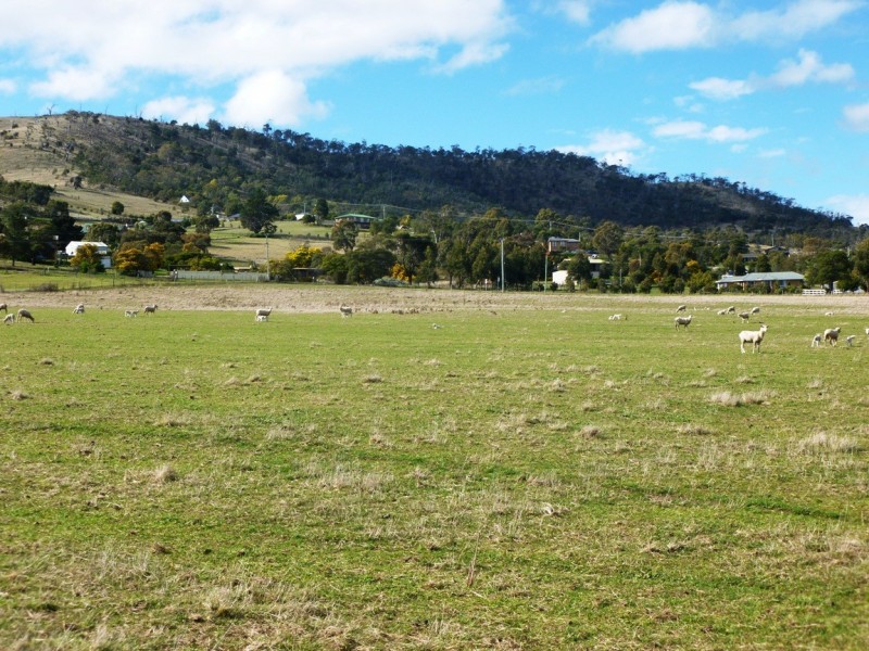 250 Cove Hill Road, Honeywood TAS 7017