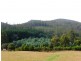 00 Abbotts Road, Maydena TAS 7140