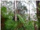 00 Abbotts Road, Maydena TAS 7140