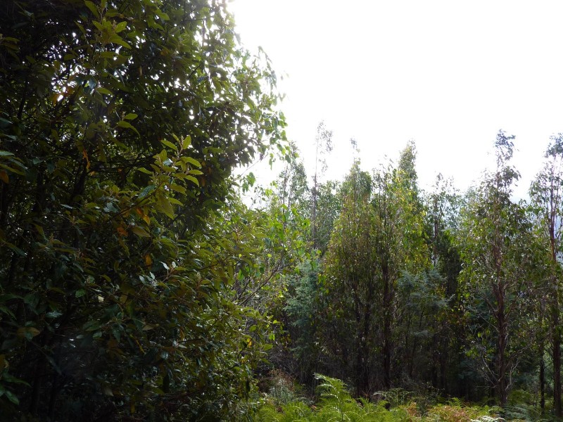 00 Abbotts Road, Maydena TAS 7140